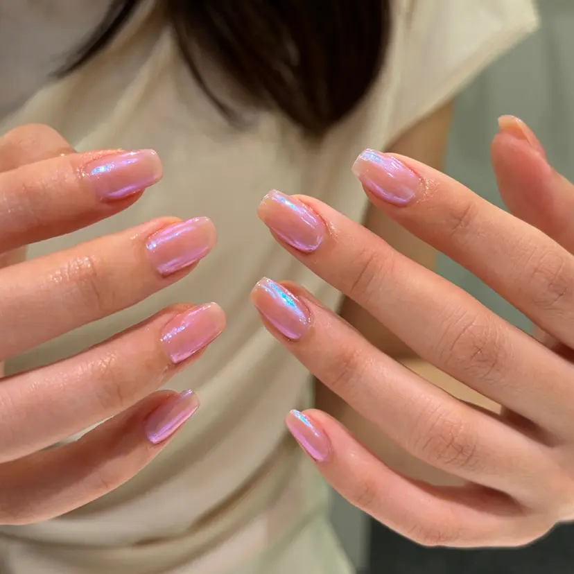 C. keiの掲載