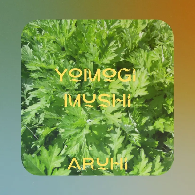 ARUHI よもぎ蒸しの掲載