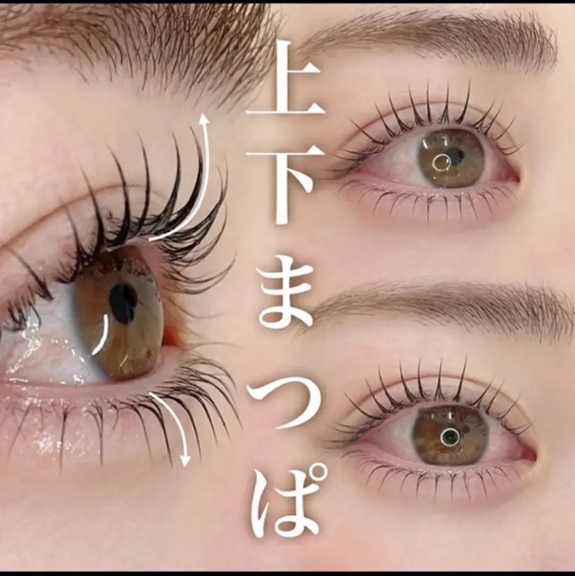 メ イの掲載