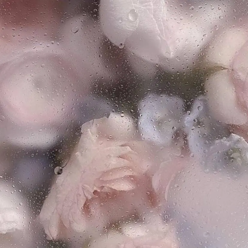 rico 🎀の掲載