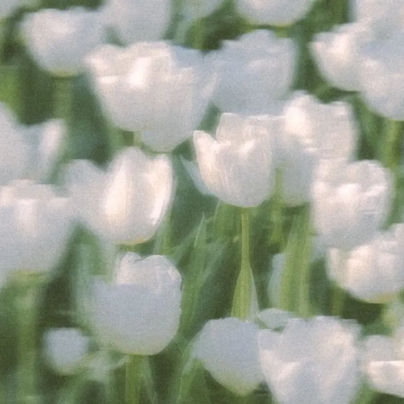髪質改善/艶髪🫧 シズク🦥🌿の掲載