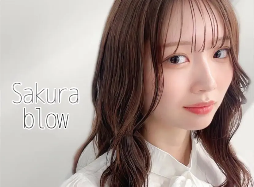 Sakurablow 山田の掲載