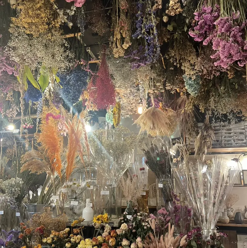 乾 明香里の掲載