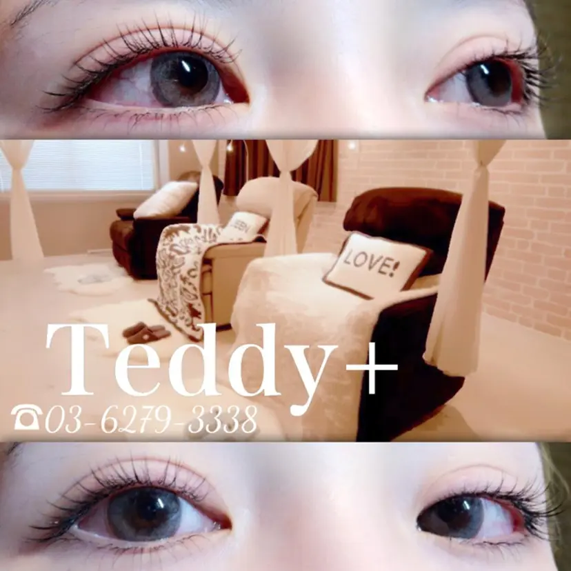 Teddy+ (テディプラス)の掲載