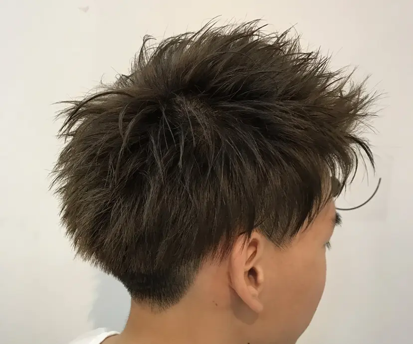 モ リの掲載