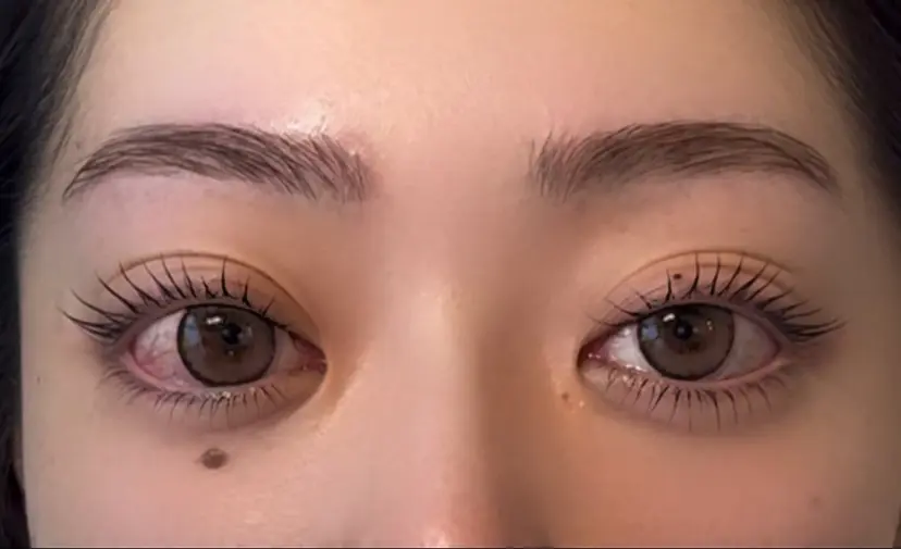 ty eyelash 《minami》の掲載