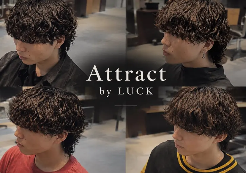 Rito/ Attractの掲載