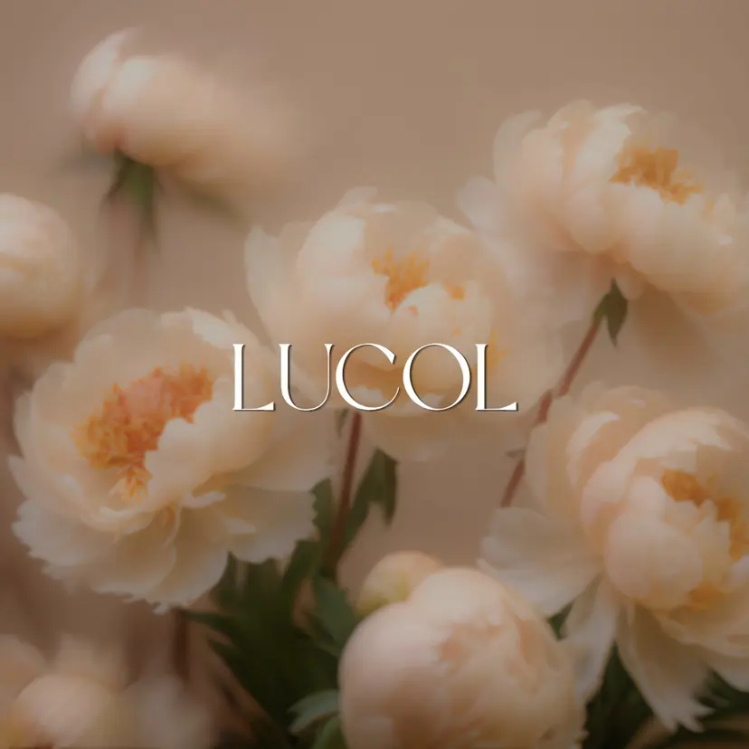 LUCOL￤池袋西口 ￤肌質改善￤EMIの掲載