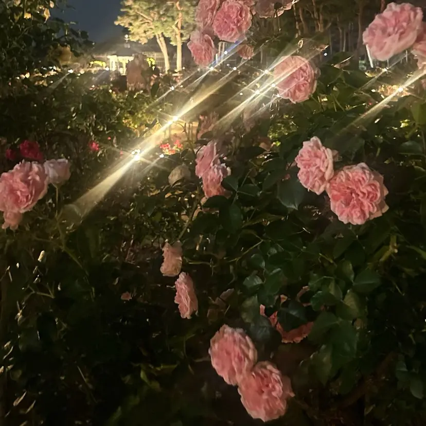 透明感カラー💎 瑠璃の掲載