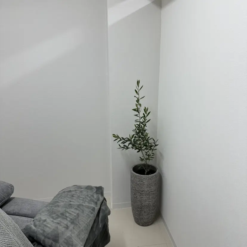 grey ayaの掲載