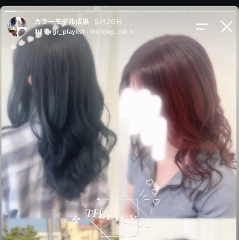 楯 樹の掲載