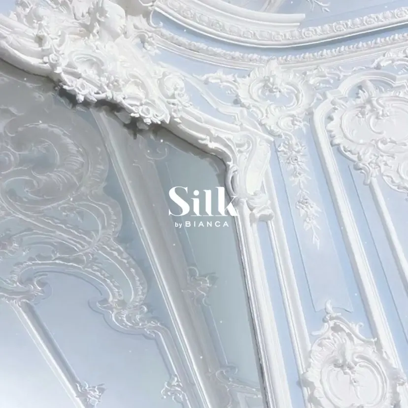 ˚✩Silk by Bianca瑠奈⋆☽の掲載