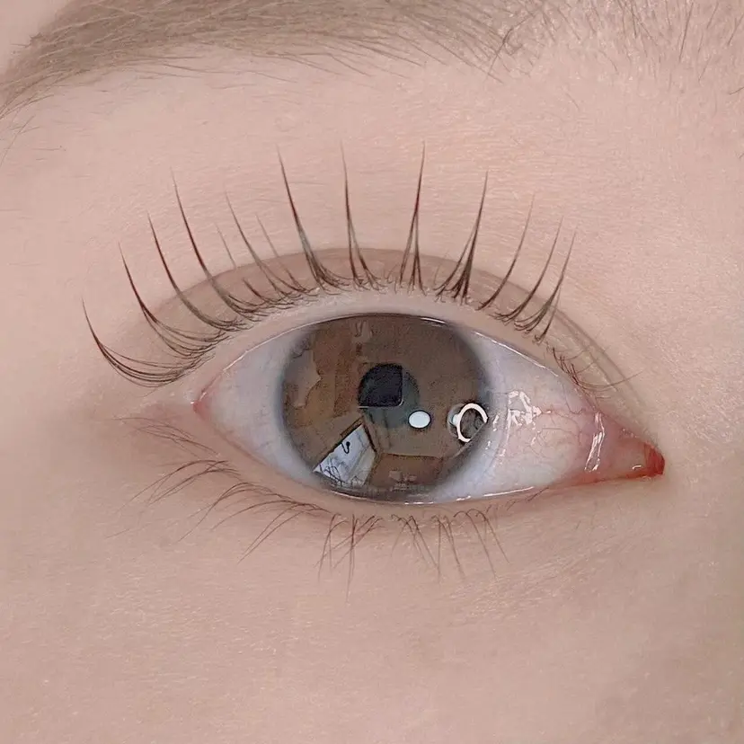 CITRON EYEの掲載