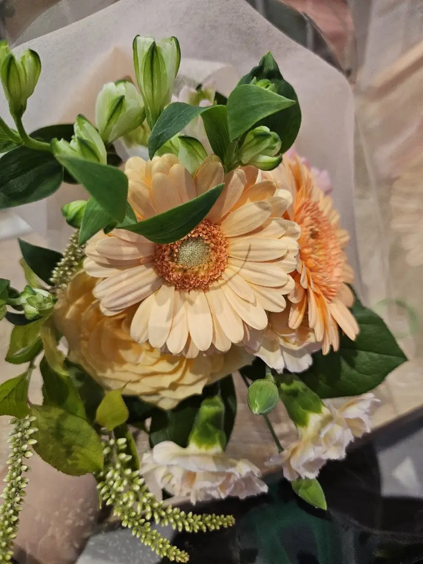 金子 翔紀の掲載