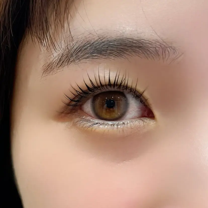 森 奈菜の掲載