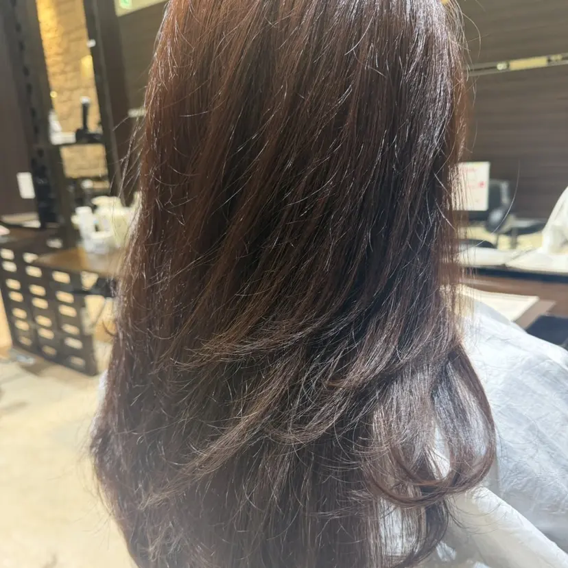 齋藤 マオの掲載