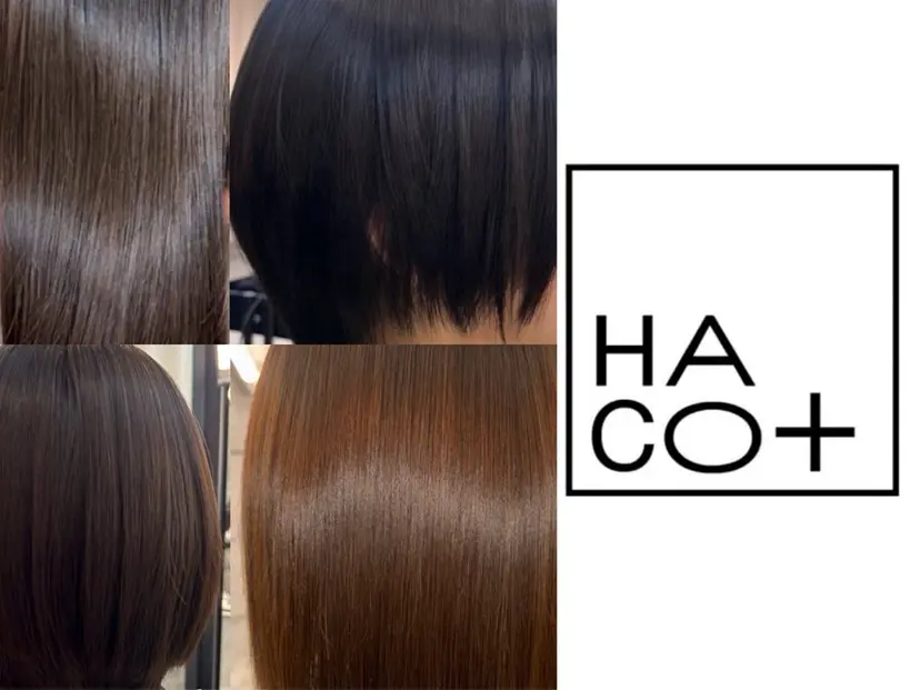 Yaya ヤヤ / HACO+の掲載
