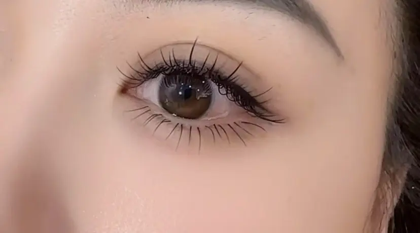 ミ ンの掲載