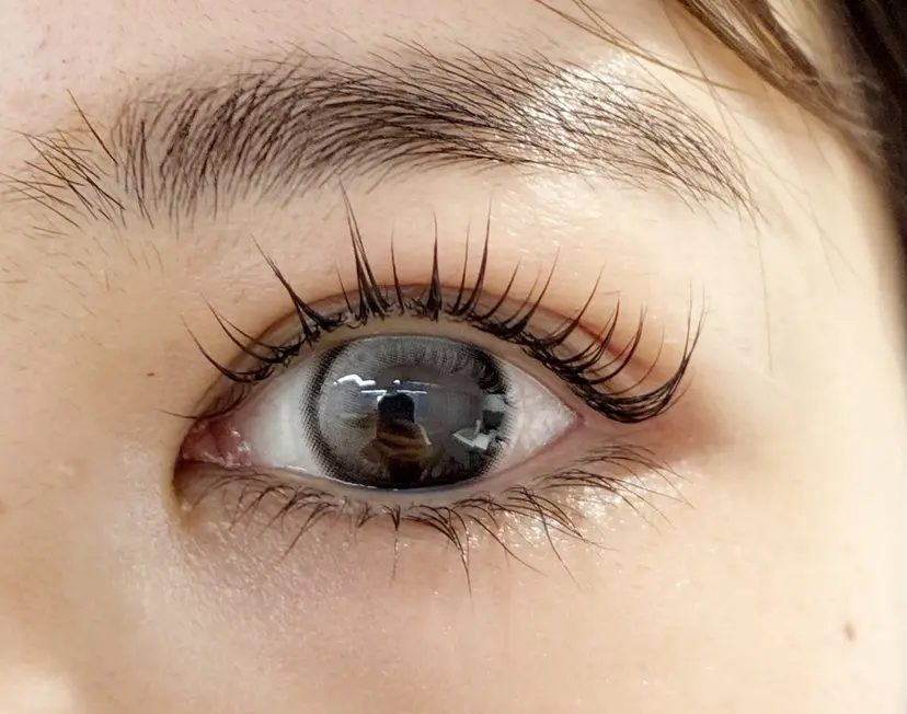 sakai GlobalEyesの掲載