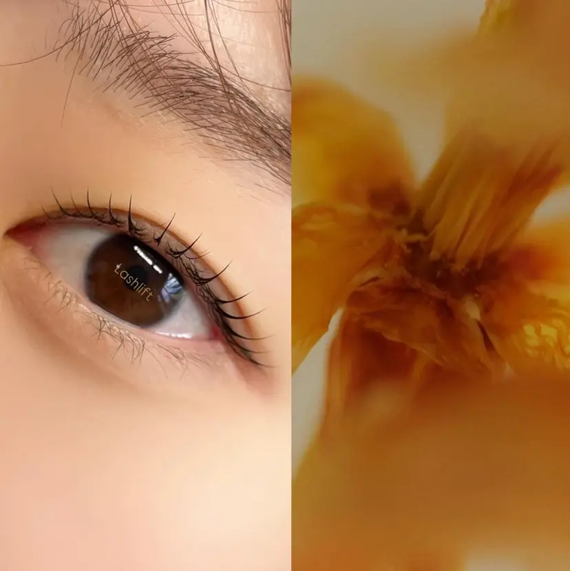chisato eye | browの掲載