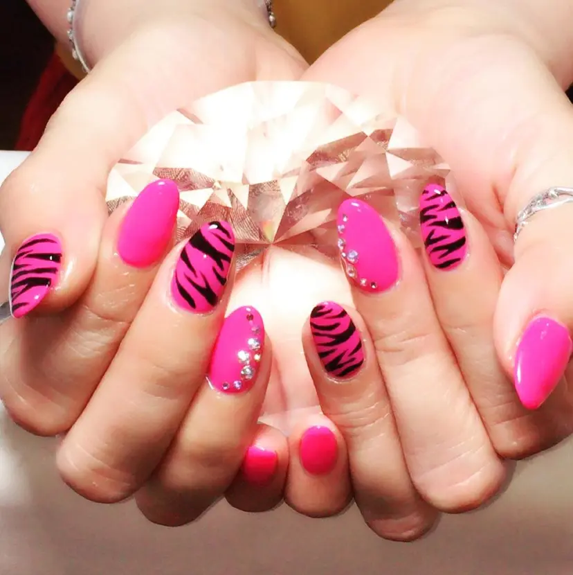 Shan Nailの掲載
