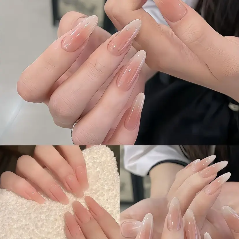 あん ずの掲載