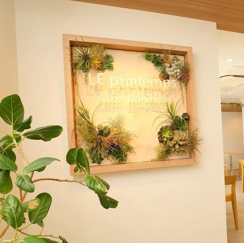 ル プランタン 🌿 友唯南の掲載