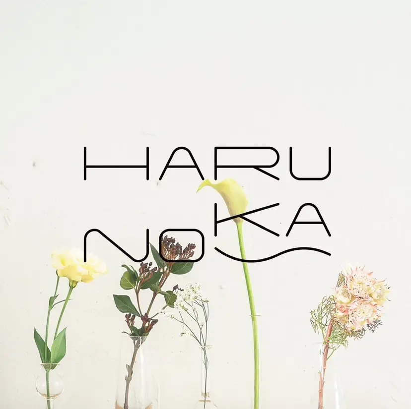 HARUNOKA misakiの掲載