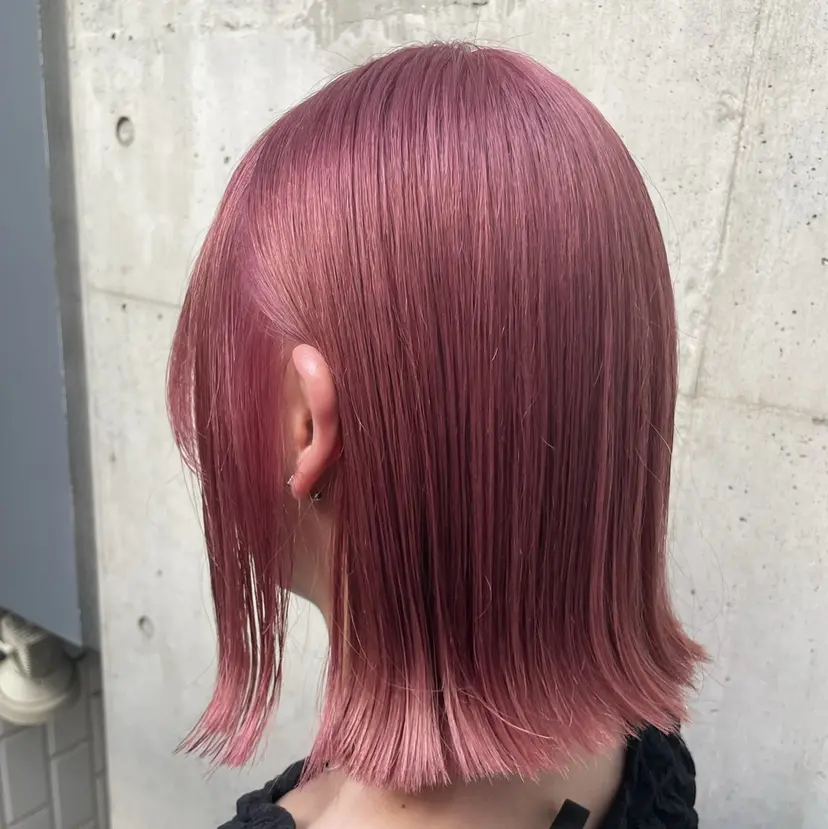 藤井 麗桜の掲載