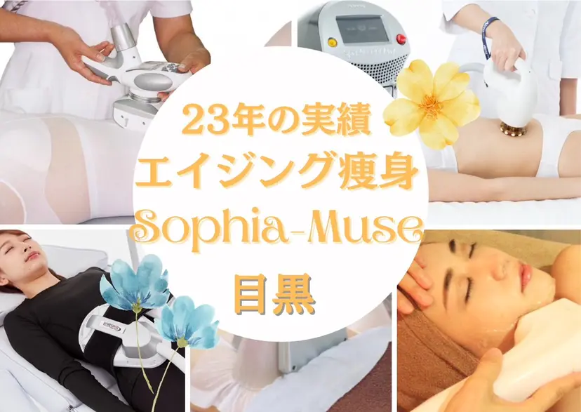 辻 かよ子の掲載