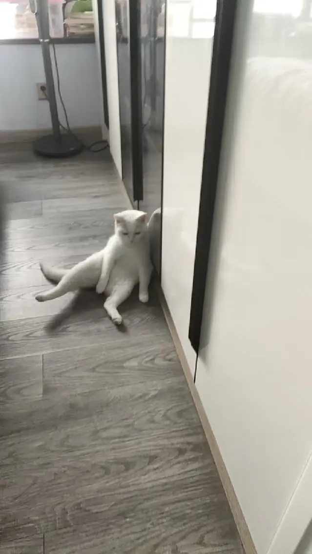 ケイ ちゃんの掲載