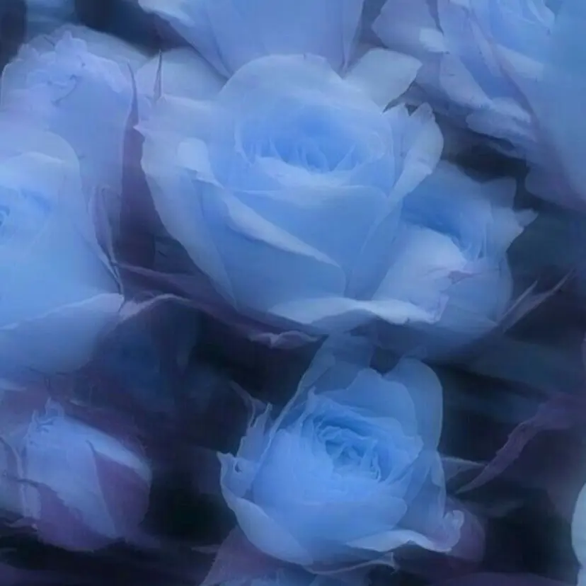 ゆるふわパーマ🌸/ ハイトーン/あゆみの掲載
