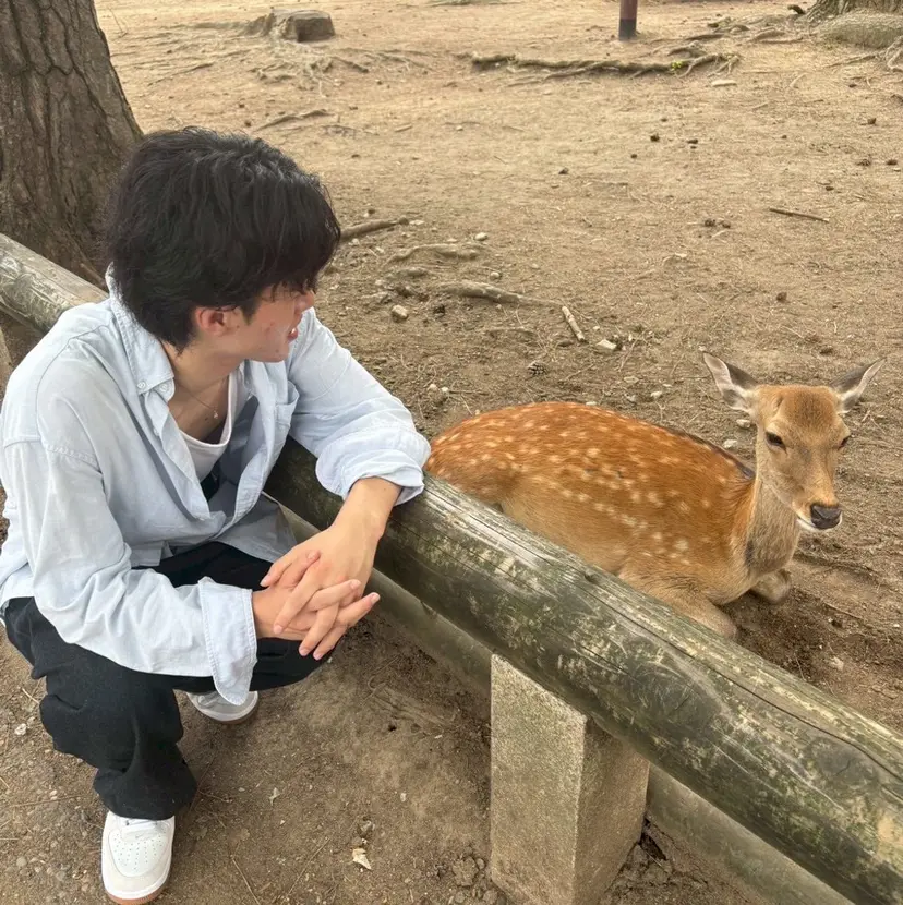 田村 なつきの掲載