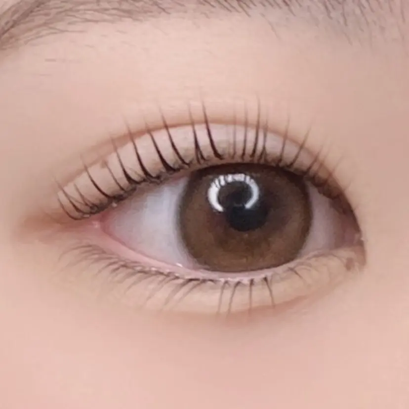 Lashiku Belle Rinの掲載