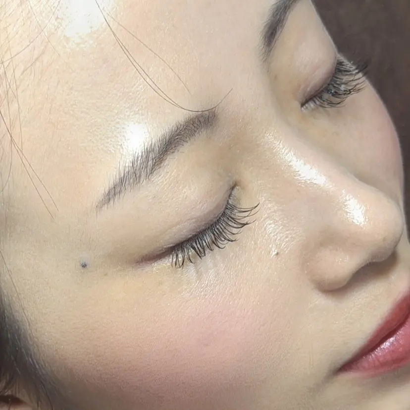 shito .の掲載