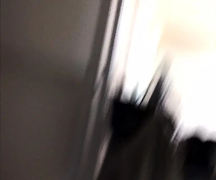 秋葉原で叶う最高級 髪質改善✨️ 服部の掲載