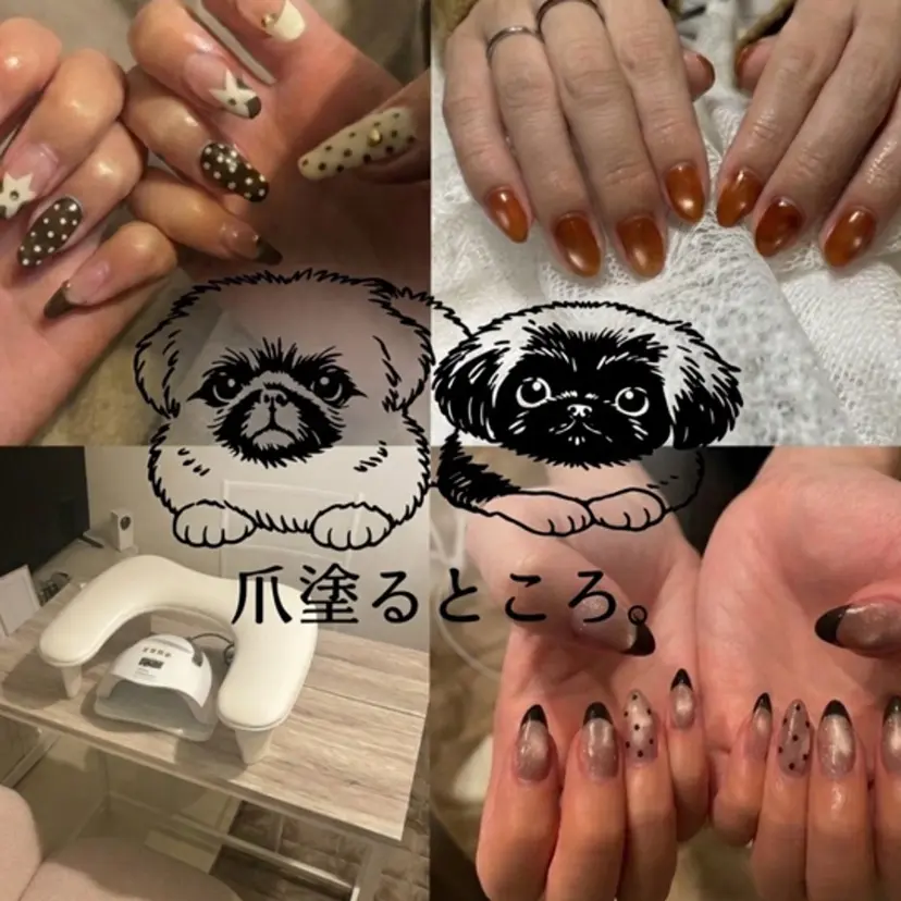TANAKA SAKIの掲載