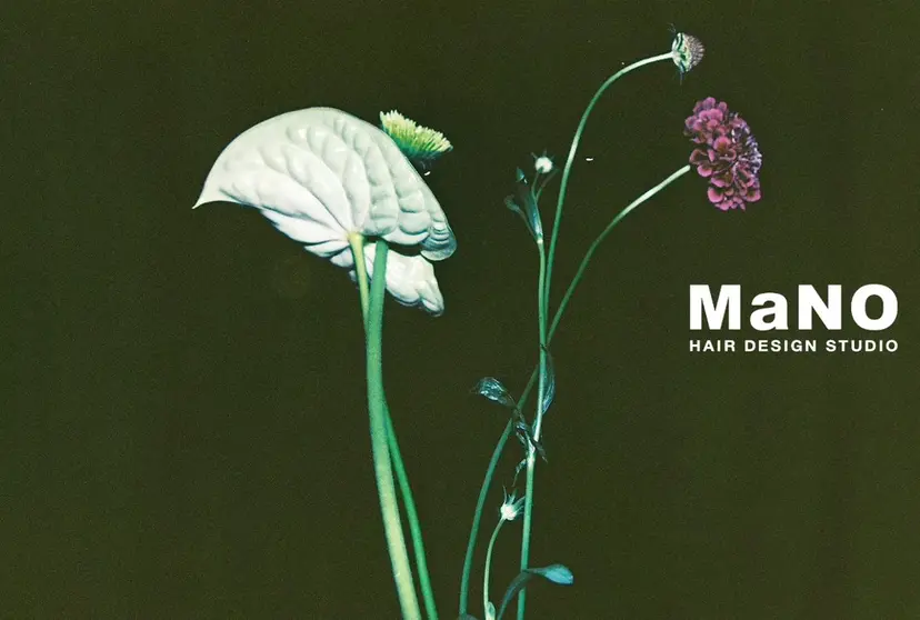 Mano/ ジジ†の掲載