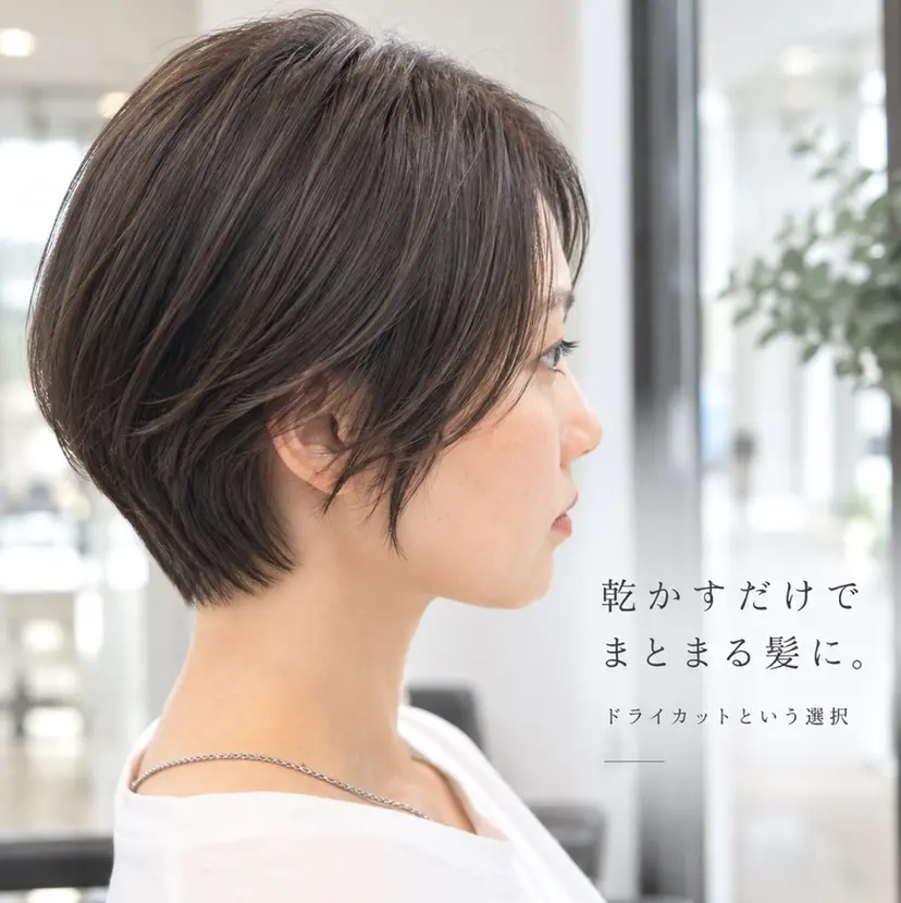 エフィラージュ カット✂️髪質改善の掲載