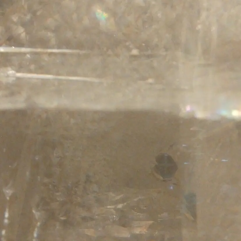 亀谷 浬音の掲載
