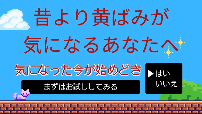 セルフホワイトニング 金城しおりの掲載