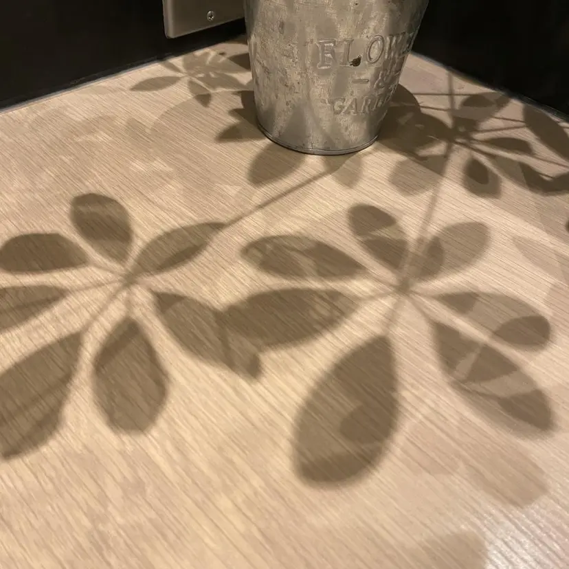 EARTH 𖤐 シライシの掲載
