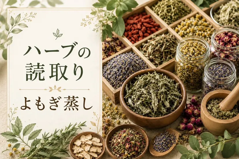 DeVert🌿🫧 Aki🧸の掲載