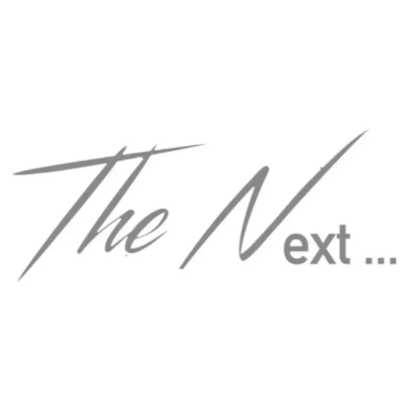 TheNext Sinsaibasiの掲載