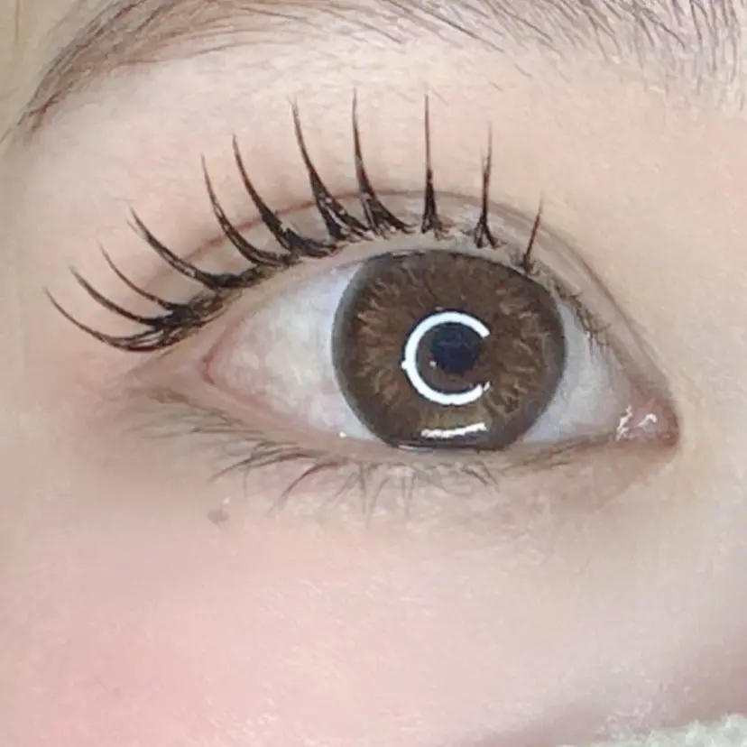 Eyelash Lily鈴木の掲載