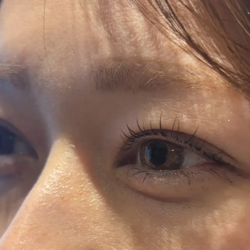 Pollen Aoiの掲載