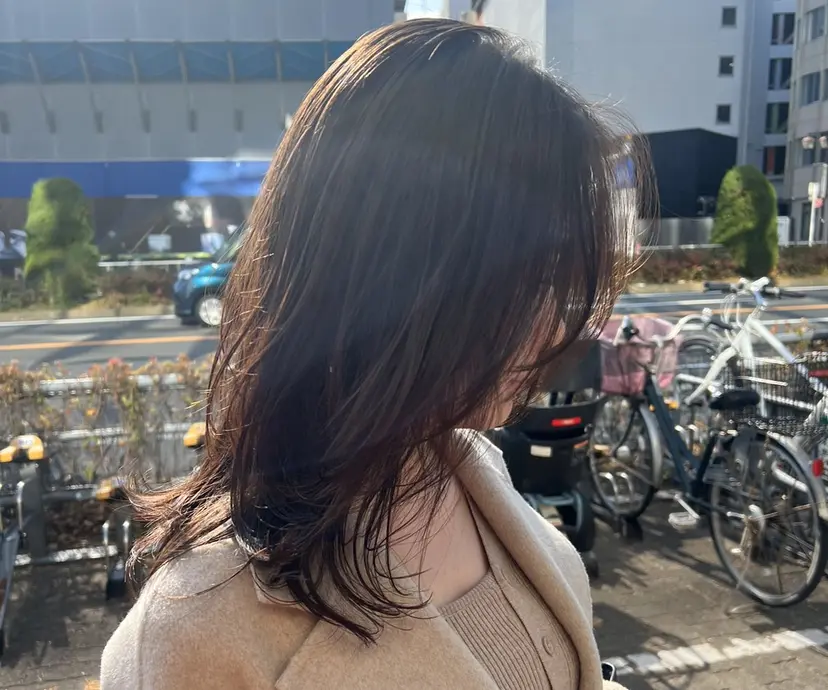 メ イの掲載
