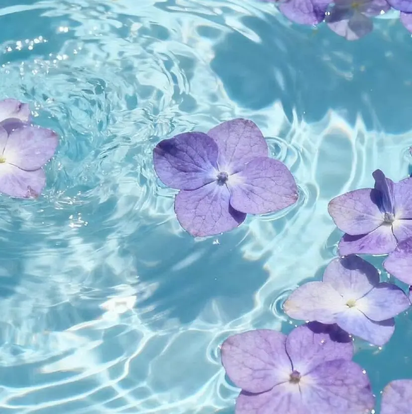 𝒴𝓊𝓀𝒶 𓂃🤍 ‎ ‎️の掲載