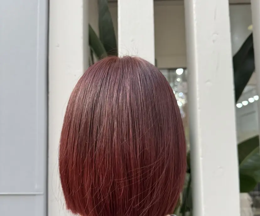 🍎ダブルカラー指名 No.1齋藤すみれの掲載