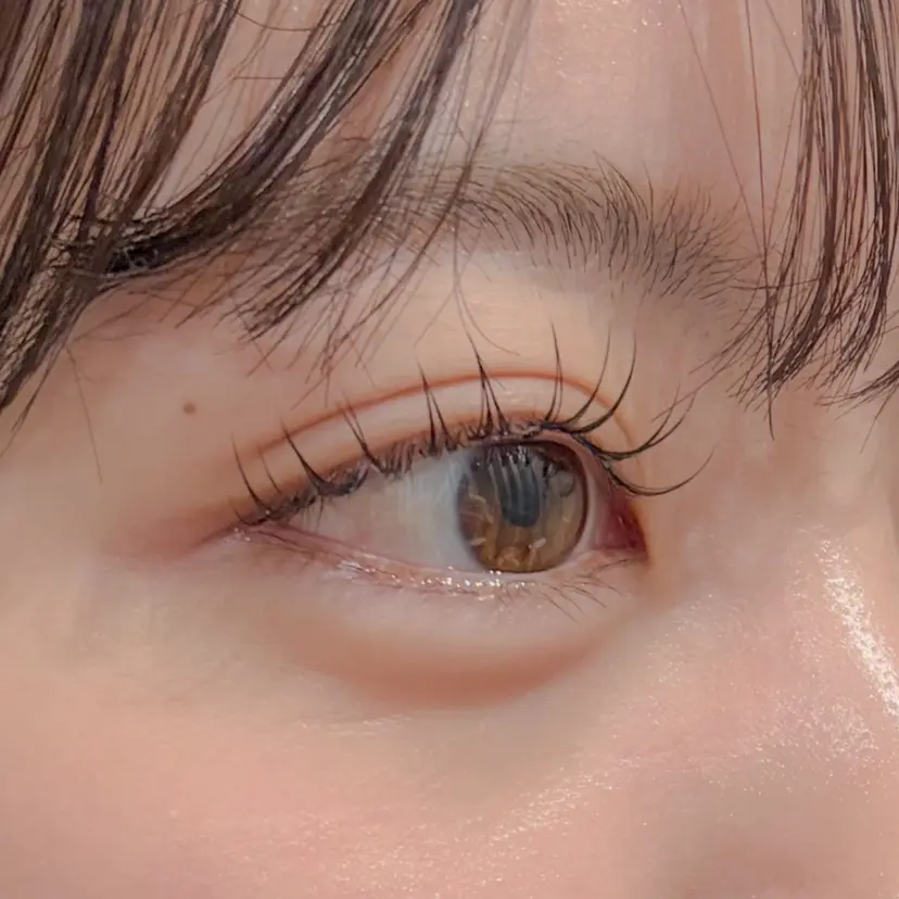 松江 春菜の掲載